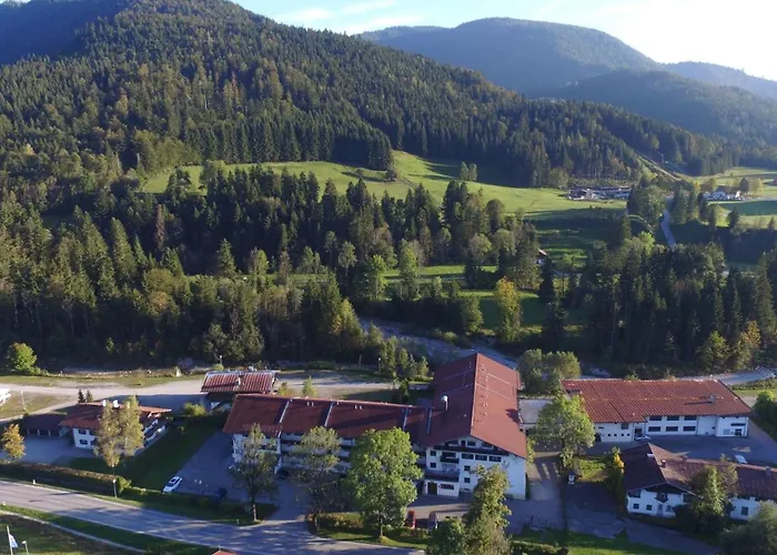Alpendohle *