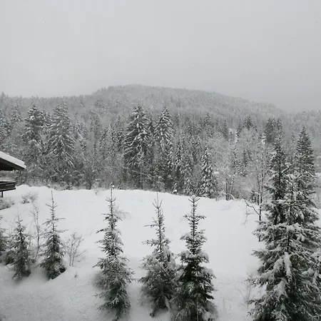 Alpendohle Apartment