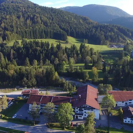 Alpendohle *