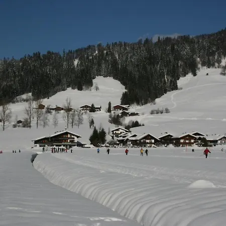 Alpendohle Reit im Winkl