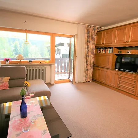 Alpendohle * Reit im Winkl