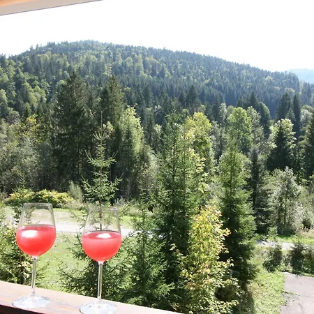 Alpendohle Apartment