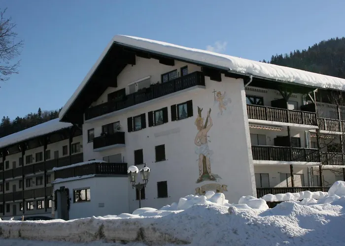 Alpendohle Reit im Winkl