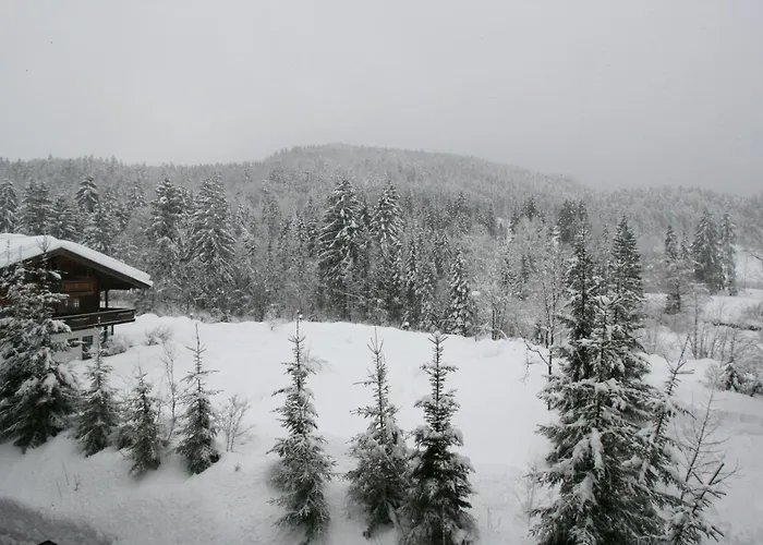 Alpendohle Apartamento
