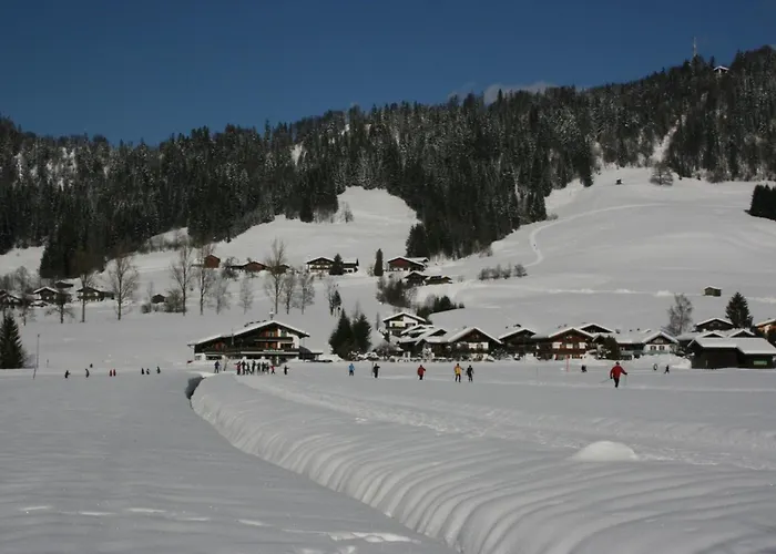 Alpendohle Reit im Winkl